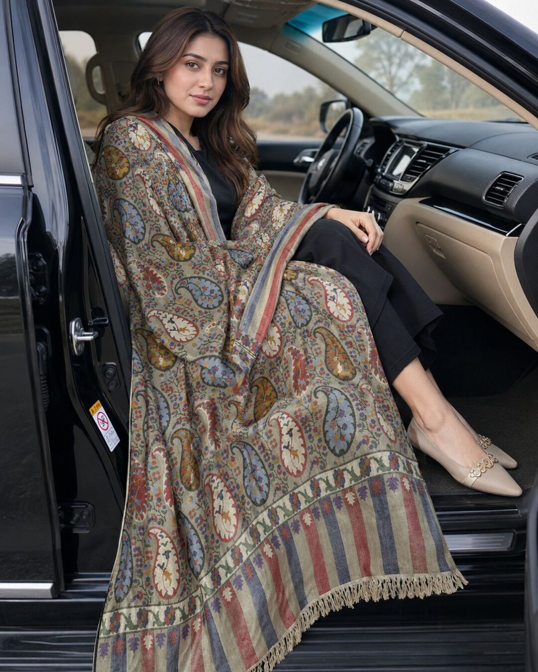 Elegant Multi-Color Kashmiri Jamawar Shawl - Hand-Woven Masterpiece